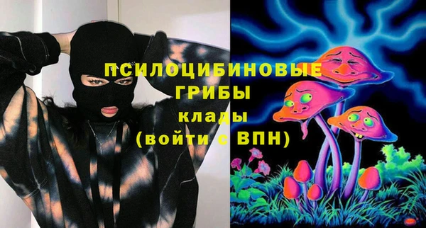 бошки Алексеевка