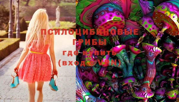 соль ск Пролетарск